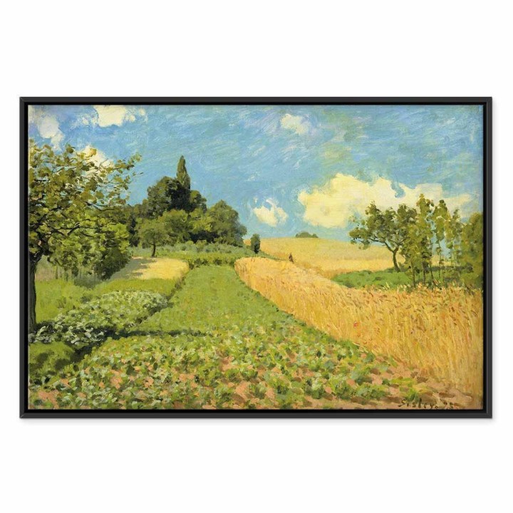 Obraz - Alfred Sisley – Pole pszenicy koło Argenteuil