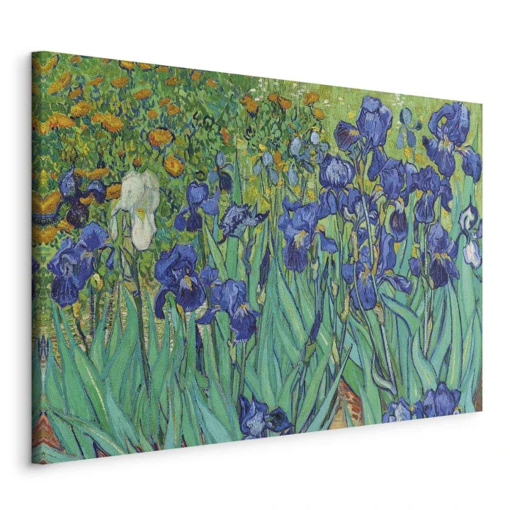 Obraz - Vincent van Gogh – Irysy