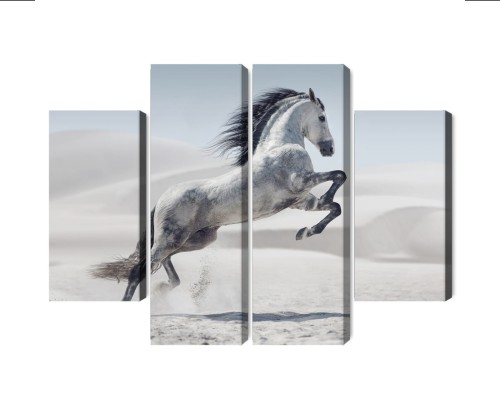 Obraz Wieloczęściowy Koń Na Pustyni 3D