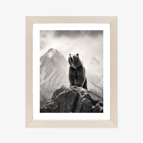Plakat Niedźwiedź Grizzly Na Wysokiej Skale