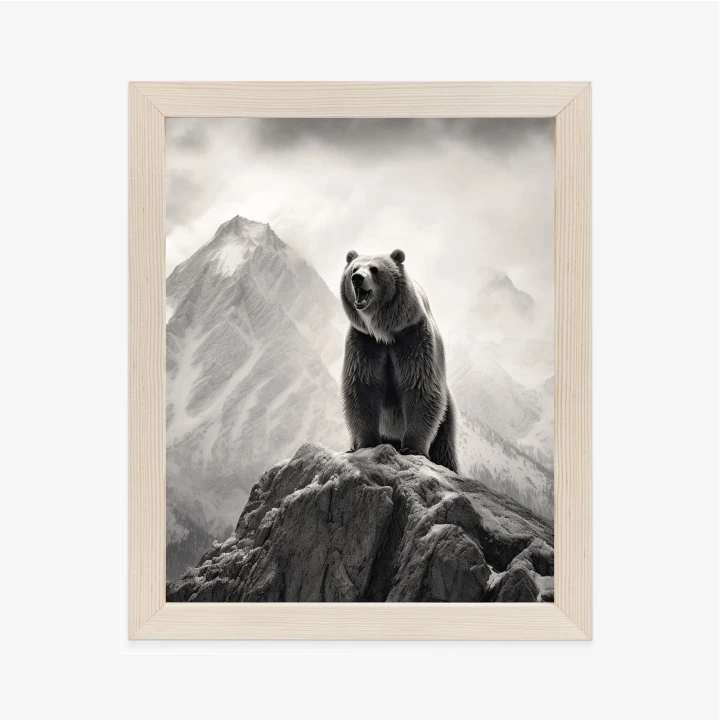Plakat Niedźwiedź Grizzly Na Wysokiej Skale