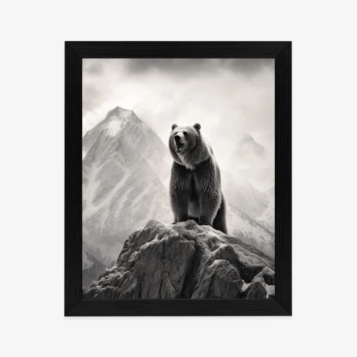 Plakat Niedźwiedź Grizzly Na Wysokiej Skale