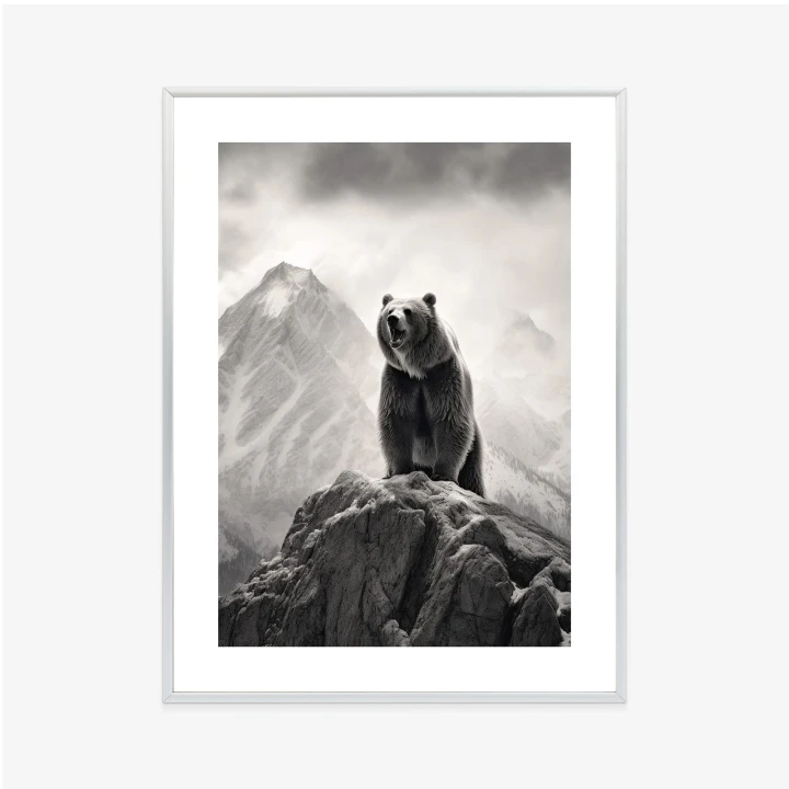 Plakat Niedźwiedź Grizzly Na Wysokiej Skale