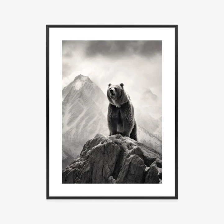 Plakat Niedźwiedź Grizzly Na Wysokiej Skale