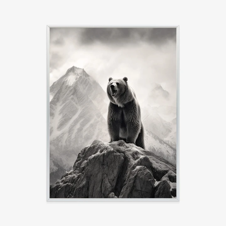 Plakat Niedźwiedź Grizzly Na Wysokiej Skale