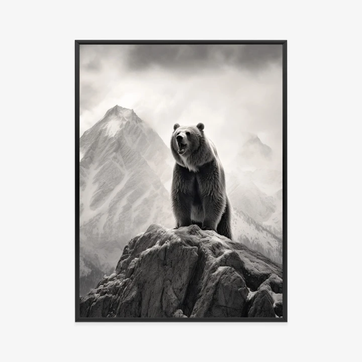Plakat Niedźwiedź Grizzly Na Wysokiej Skale