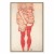 Obraz - Egon Schiele – Stojąca kobieta w czerwieni