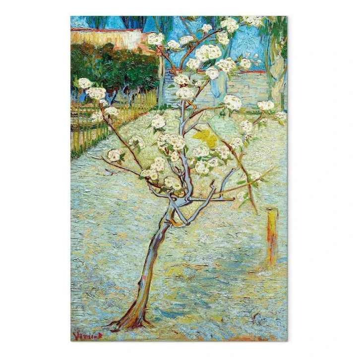 Obraz - Vincent van Gogh – Kwitnąca grusza