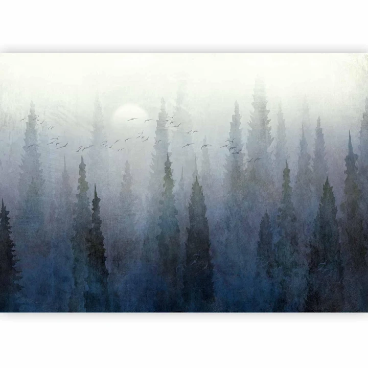 Fototapeta - Przelot nad lasem - drugi wariant