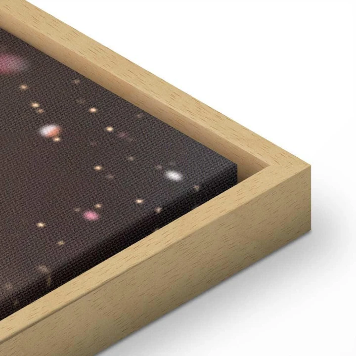 Obraz - Zimowa szyszka (1-częściowy) pionowy