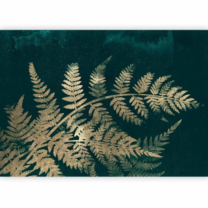 Fototapeta - Magiczna noc - drugi wariant