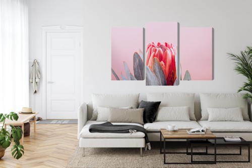 Obraz Wieloczęściowy Kwiat Królewskiej Protei Z Bliska