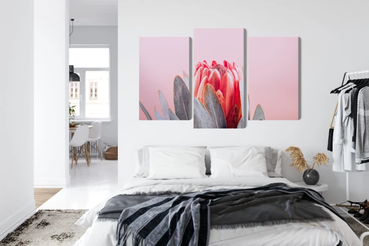 Obraz Wieloczęściowy Kwiat Królewskiej Protei Z Bliska