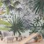 Fototapeta - Flora Madagaskaru - krajobraz tropikalny z akwarelowymi zwierzętami