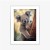 Plakat Koala Na Rozmytym Tle