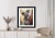 Plakat Koala Na Rozmytym Tle