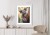 Plakat Koala Na Rozmytym Tle