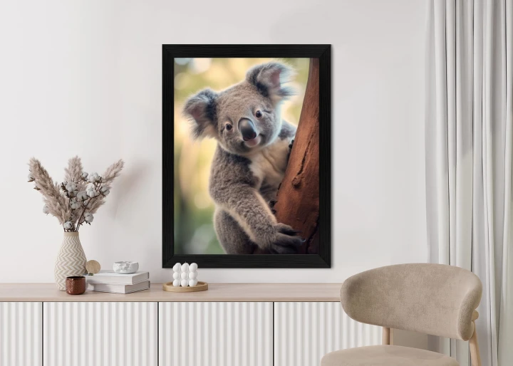 Plakat Koala Na Rozmytym Tle