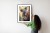 Plakat Koala Na Rozmytym Tle