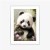 Plakat Bajkowa Panda W Kwiatkach