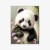 Plakat Bajkowa Panda W Kwiatkach