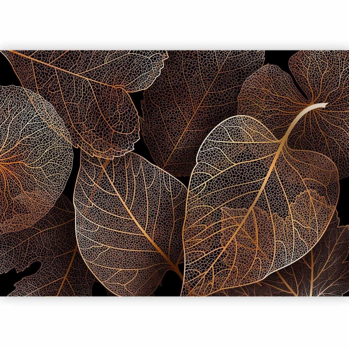 Fototapeta - Natura w moim domu - pierwszy wariant