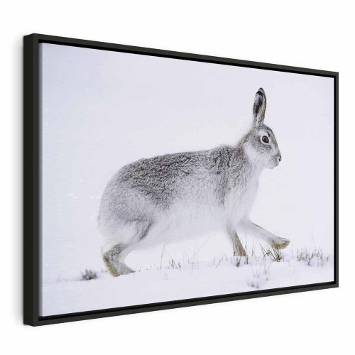 Obraz - Zając (1-częściowy) szeroki