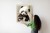 Plakat Bajkowa Panda W Kwiatkach