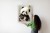 Plakat Bajkowa Panda W Kwiatkach