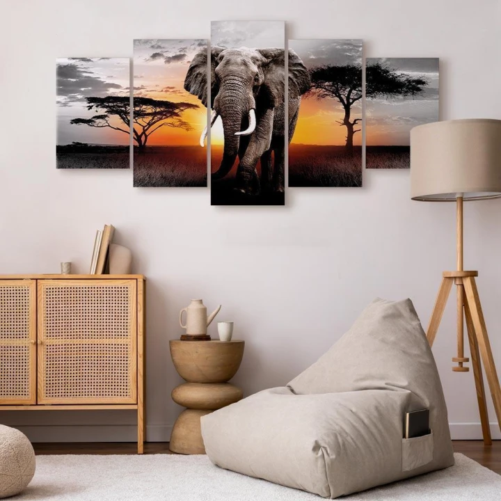 Obraz - Słoń na zachodzie słońca