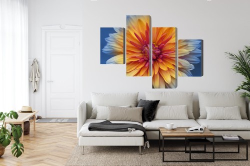 Obraz Wieloczęściowy Kwiat Chryzantemy Z Bliska 3D