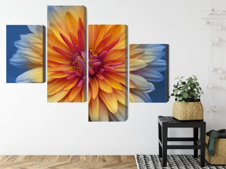 Obraz Wieloczęściowy Kwiat Chryzantemy Z Bliska 3D
