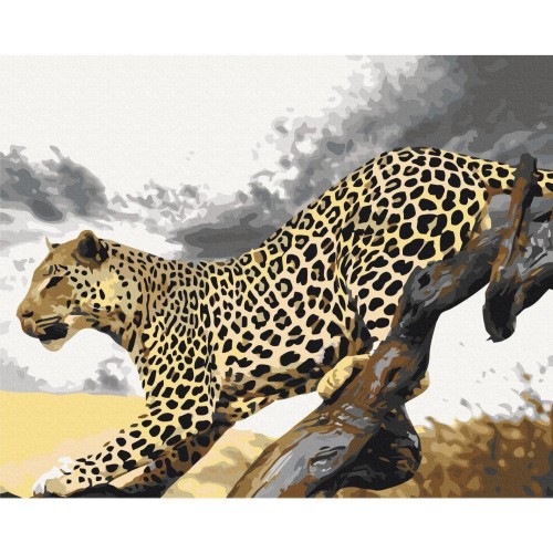 Obraz do samodzielnego malowania - Gepard