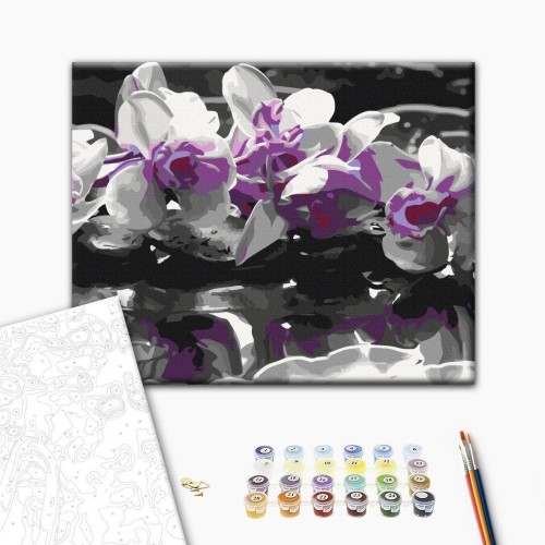 Obraz do samodzielnego malowania - Fioletowa orchidea (czarne tło i odbicie w wodzie)
