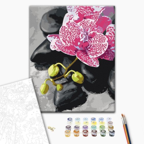 Obraz do samodzielnego malowania - Różowa orchidea