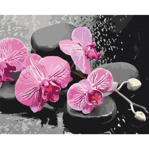 Obraz do samodzielnego malowania - Orchidea i kamienie zen (czarne tło)