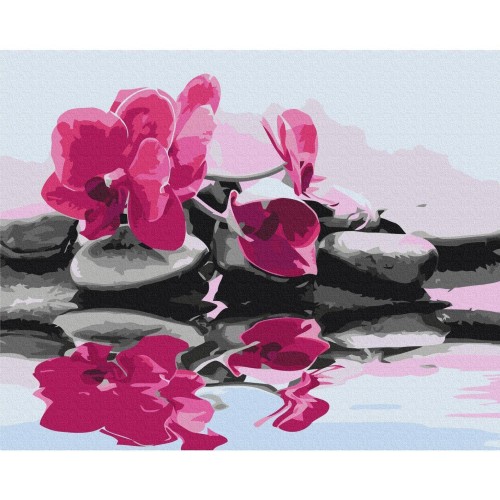Obraz do samodzielnego malowania - Orchidea i kamienie zen w lustrze wody