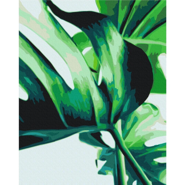 Obraz do samodzielnego malowania - Monstera Adansona