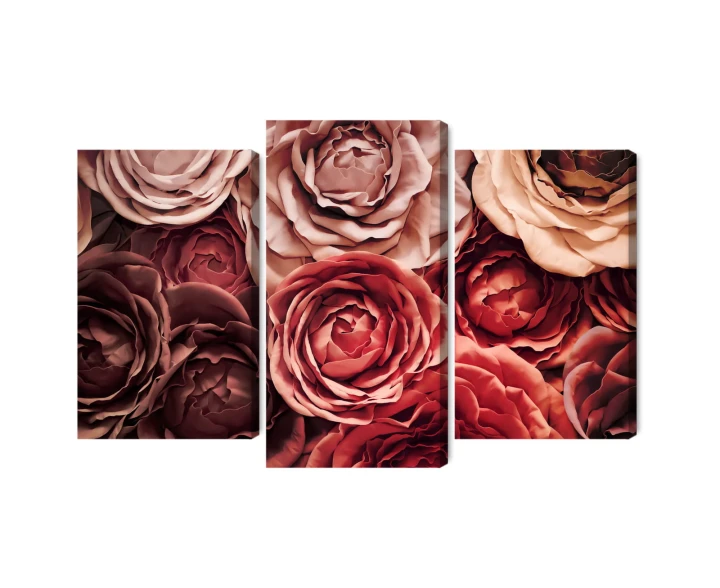 Obraz Wieloczęściowy Kolorowe Kwiaty Z Bliska 3D