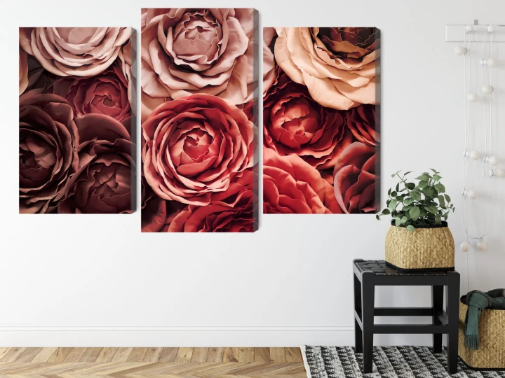 Obraz Wieloczęściowy Kolorowe Kwiaty Z Bliska 3D