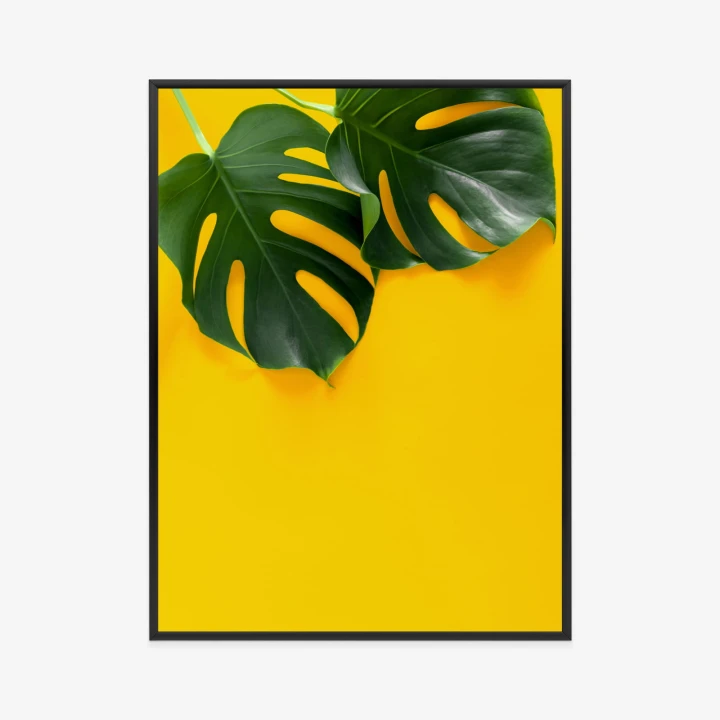 Plakat Wielkie Liście Monstery