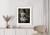 Plakat Koala W Garniturze