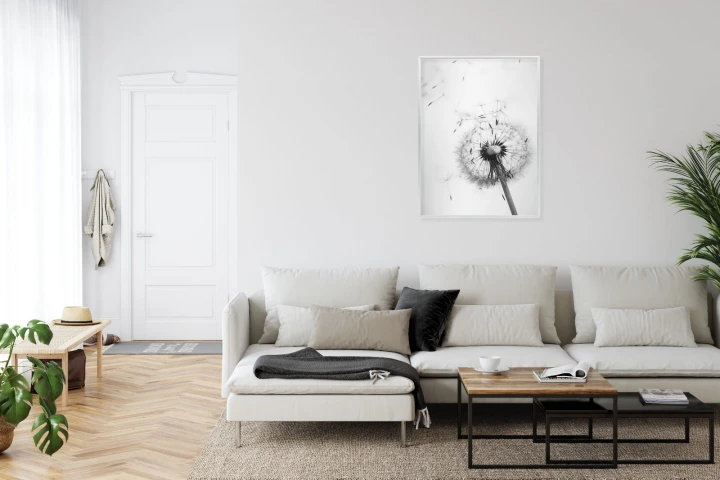 Plakat Dmuchawiec I Jego Nasiona