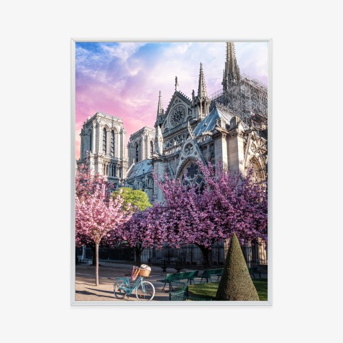Plakat Katedra Notre Dame De Paris O Wschodzie Słońca I Kwitnące Wiśnie