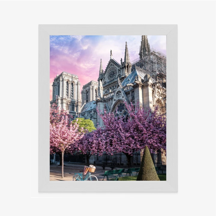 Plakat Katedra Notre Dame De Paris O Wschodzie Słońca I Kwitnące Wiśnie
