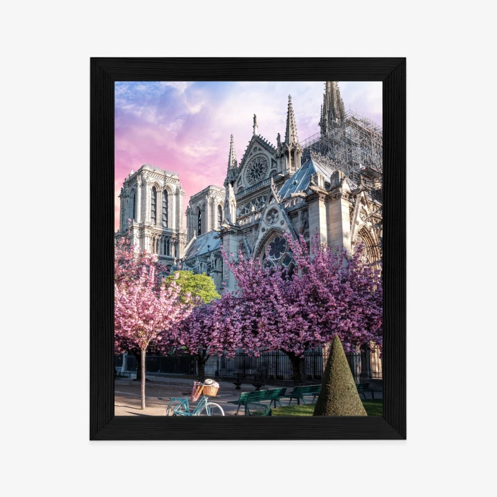 Plakat Katedra Notre Dame De Paris O Wschodzie Słońca I Kwitnące Wiśnie