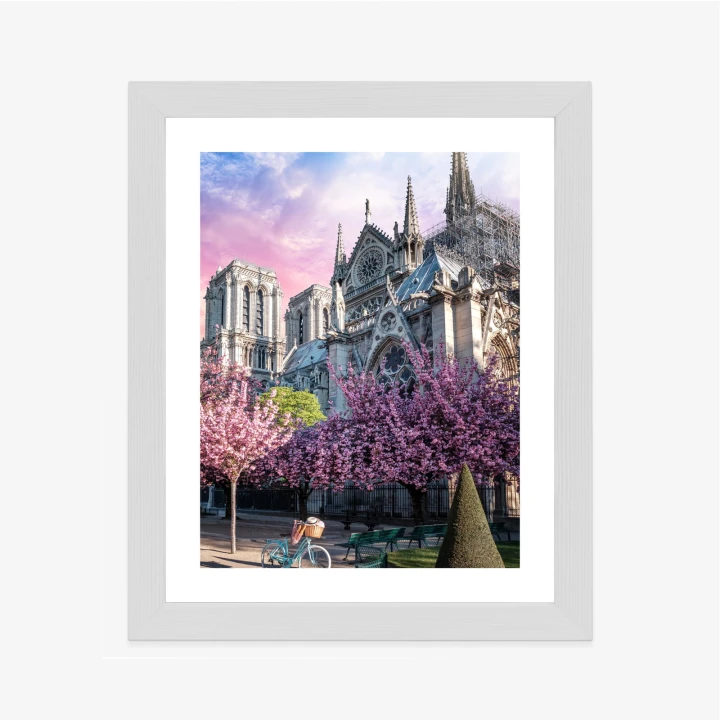 Plakat Katedra Notre Dame De Paris O Wschodzie Słońca I Kwitnące Wiśnie
