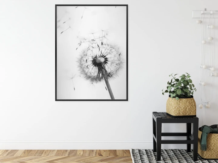 Plakat Dmuchawiec I Jego Nasiona
