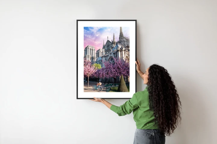 Plakat Katedra Notre Dame De Paris O Wschodzie Słońca I Kwitnące Wiśnie