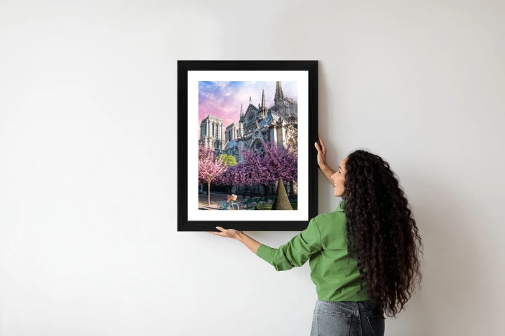 Plakat Katedra Notre Dame De Paris O Wschodzie Słońca I Kwitnące Wiśnie